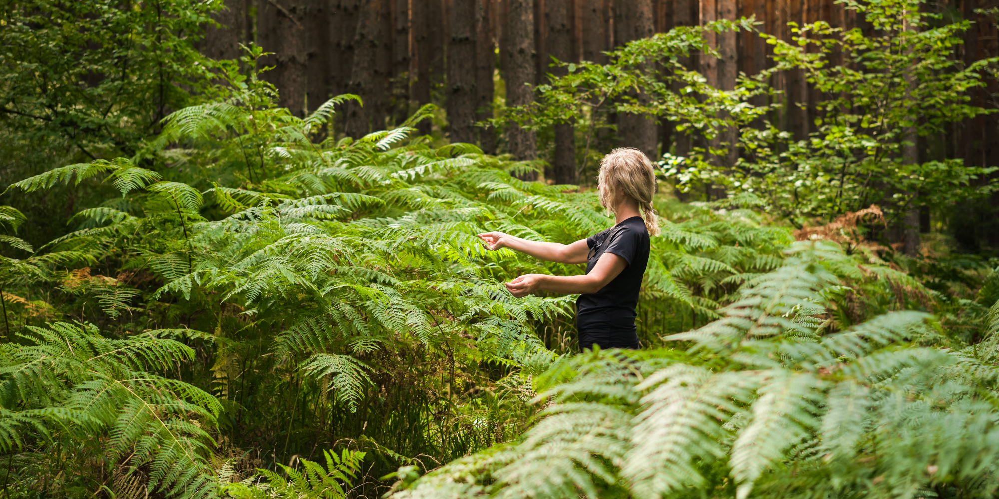 Waldbaden, Wandern und Yoga